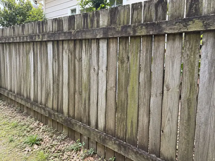 Timber paling fence in brisbane before pressure cleaning