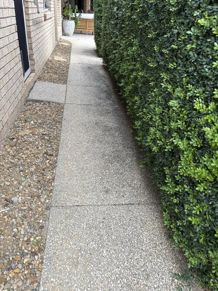 Exposed aggregate side path in brisbane before pressure cleaning